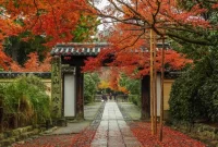 Bagaimana Mengatasi Perbedaan Cuaca dan Musim di Jepang