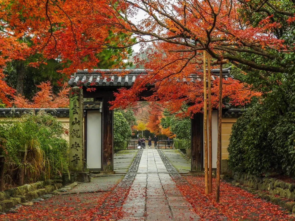 Bagaimana Mengatasi Perbedaan Cuaca dan Musim di Jepang