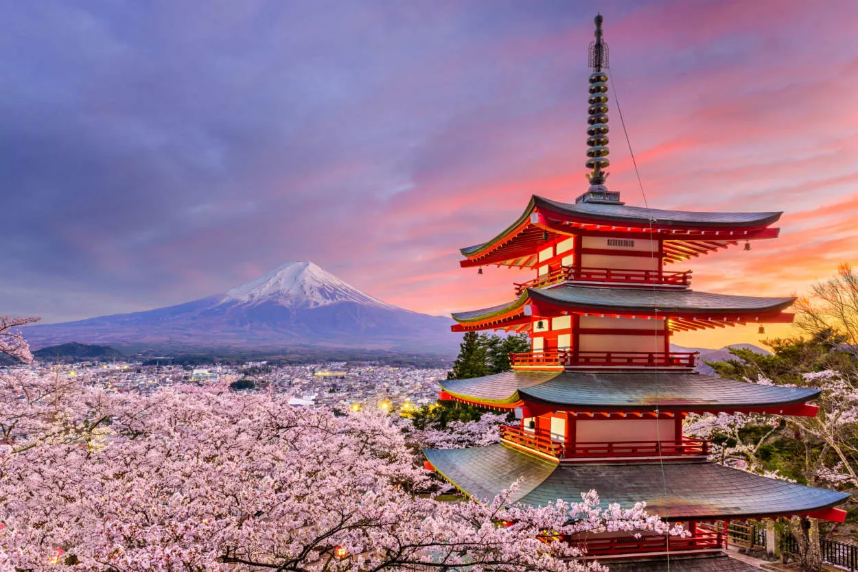 Menjelajahi Hutan dan Pegunungan di Jepang: Wisata Alam yang Mendalam