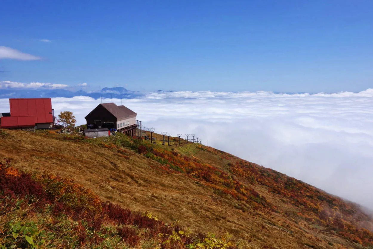 Menyusun Rencana Wisata Ramah Anggaran ke Jepang