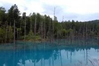 Menyusun Rencana Wisata ke Hokkaido: Keindahan Alam Utara