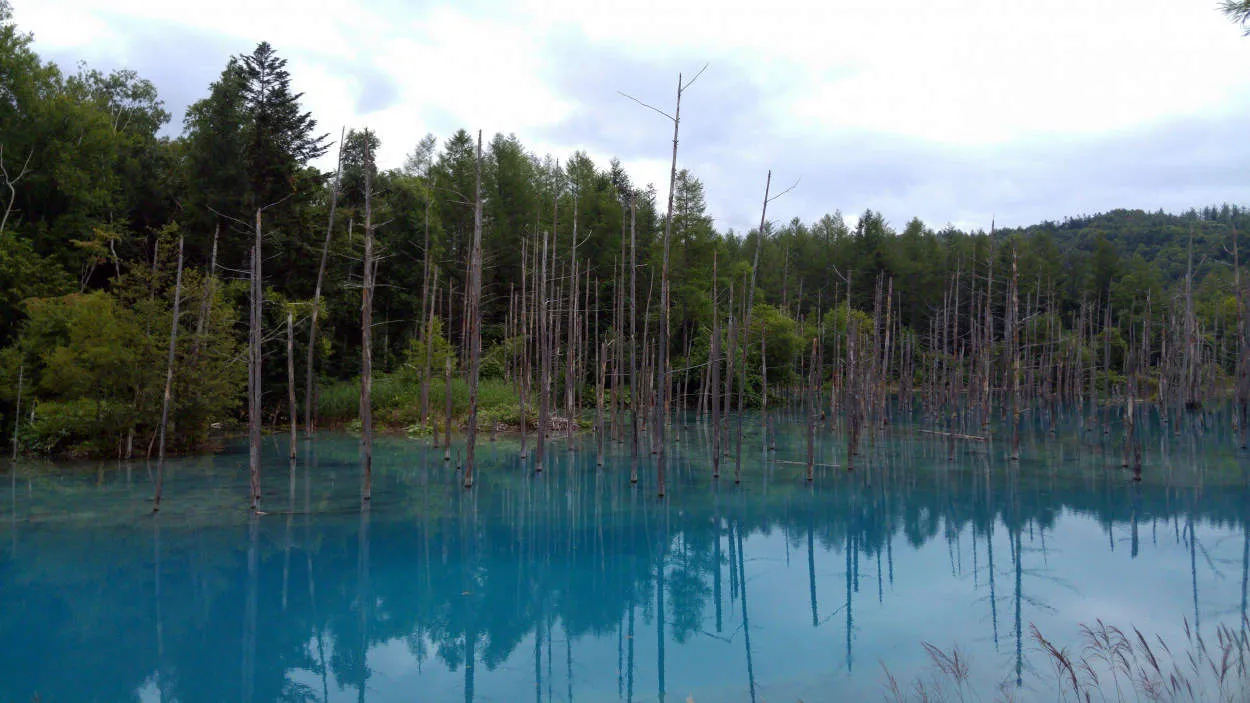Menyusun Rencana Wisata ke Hokkaido: Keindahan Alam Utara