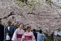 Perjalanan Solo ke Jepang: Tips untuk Pelancong yang Tunggal