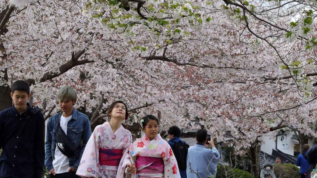 Perjalanan Solo ke Jepang: Tips untuk Pelancong yang Tunggal